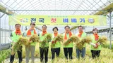 이천시, 전국 첫 벼베기 행사 개최…본격적인 햅쌀 수확 알림