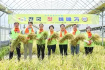 이천시, 전국 첫 벼베기 행사 개최…본격적인 햅쌀 수확 알림