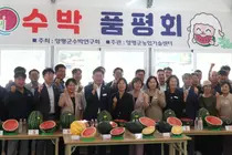 양평 수박 신품종 '조생흑미', 소비자·유통인 시장성 평가서 종합 1위