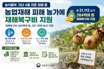 농식품부, 4월 저온 및 6월 우박 피해 농가에 재해복구비 384억 원 지원
