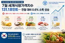 유엔 식량농업기구, 7월 식량가격지수 131.1 기록… 폭염에 밀·설탕 급등