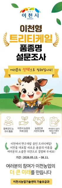이천시, 신품종 '수원84' 새 이름 찾는다… 11일까지 현장 투표