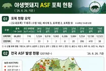 경기도, ASF 확산 차단 총력전… 파주 등 5곳 위기경보 '심각'