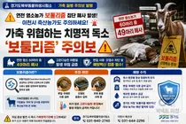 연천 염소농가, 49마리 떼죽음 원인 나왔다… 치명적 '보툴리즘' 비상