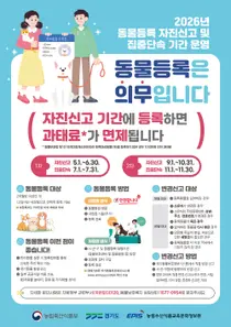 경기도, 미등록 반려견 과태료 '100만원' 면제… 11월엔 집중단속