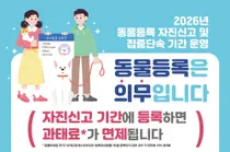 경기도, 미등록 반려견 과태료 '100만원' 면제… 11월엔 집중단속
