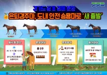 경기도, 도태 위기 은퇴경주마 살렸다… 14일 150만원부터 공개경매