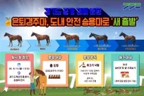 경기도, 도태 위기 은퇴경주마 살렸다… 14일 150만원부터 공개경매