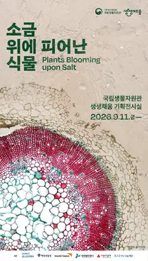 국립생물자원관, 염생식물 26종 한자리에… '소금 위에 피어난 식물' 개최