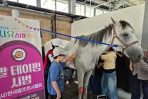 경기도 '치유승마대회'에 150명 몰렸다… 말과 교감하며 심신 치유