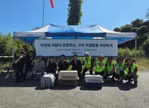 경기도, 어미 잃은 멸종위기 '삵' 살려냈다… 야생 훈련 거친 16마리 방생
