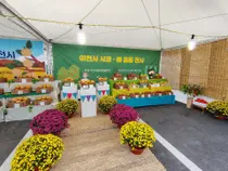이천시, 최고 품질 가릴 '사과·배 품평회' 연다… 10월 7~8일 출품작 접수