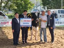 이천시 홀스타인 품평회, 1000여 명 몰렸다. 최고 젖소 '그랜드 챔피언' 탄생