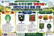 '고온을 이겨낸 명품 배추'… 국립종자원, 2026 대한민국 우수품종상 대통령상에 ㈜NH농우바이오 '청명가을' 선정
