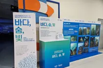 경기도, 해양쓰레기가 예술 작품으로… 11월 13일까지 특별 전시