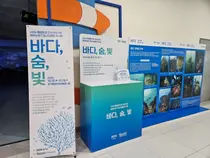 경기도, 해양쓰레기가 예술 작품으로… 11월 13일까지 특별 전시