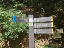이천시 신둔면, 제1회 정개산 둘레길 한마음 걷기대회 개최