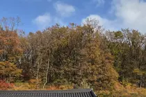 이천시 치매안심센터, 치매환자 가족 위한 ‘자기돌봄 캠프’ 운영
