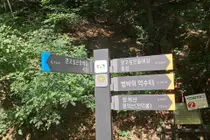 이천시 신둔면, 제1회 정개산 둘레길 한마음 걷기대회 개최