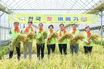 이천시, 전국 첫 벼베기 행사 개최…본격적인 햅쌀 수확 알림