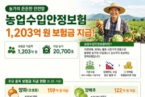 농식품부, 농업수입안정보험 1,203억 원 지급…농가 경영 안전망 역할 '톡톡'