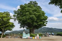 경기도, '제14회 경기정원문화박람회' 작품정원 10선 확정…10월 개막