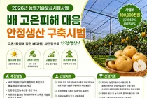 이천시, 2026년 과수분야 농업기술보급 시범사업 추진… 배 고온피해 예방 총력