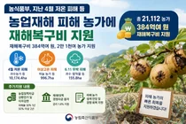 농식품부, 4월 저온 및 6월 우박 피해 농가에 재해복구비 384억 원 지원