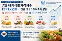 유엔 식량농업기구, 7월 식량가격지수 131.1 기록… 폭염에 밀·설탕 급등
