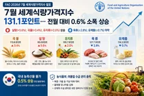 유엔 식량농업기구, 7월 식량가격지수 131.1 기록… 폭염에 밀·설탕 급등