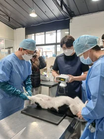 경기도, 민간 보호동물 717마리 직접 찾아가 살렸다… 하반기 6곳 추가 지원