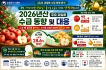 농식품부, 사과·배 작황 양호… 조생종 소매가 28.6% 하락