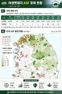 경기도, ASF 확산 차단 총력전… 파주 등 5곳 위기경보 '심각'