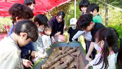 경기도농업기술원, 희귀 곤충 체험 무료로 푼다… 선착순 20명 모집