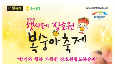 장호원 복숭아, 매년 10만 명 몰리는 황도 축제 개막. 18일부터 3일간