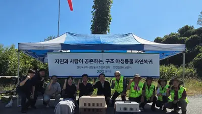 경기도, 어미 잃은 멸종위기 '삵' 살려냈다… 야생 훈련 거친 16마리 방생