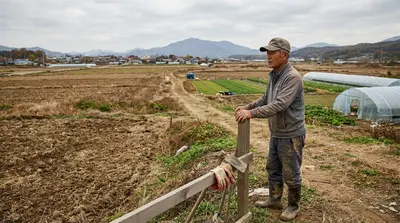 농식품부, 미경작 농지 강제처분 유예… 위반 의심 284만 필지 구제되나