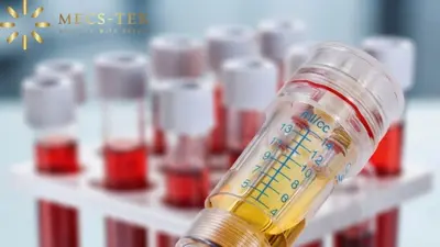서울이엘치과, 치과 최초 '킹스템' 자가혈 시술 도입… 고난도 임플란트 정조준