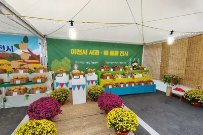 이천시, 최고 품질 가릴 '사과·배 품평회' 연다… 10월 7~8일 출품작 접수