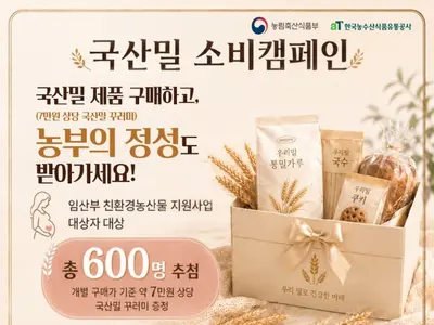 '건강한 먹거리도 챙기고, 국산 밀도 응원합니다!'… 농식품부, '임산부 친환경농산물 꾸러미 사업' 참여자 대상 우리 밀 소비 캠페인 본격 추진