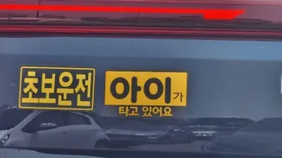 ‘극한초보’, ‘살려주세요’… 웃음 상품 된 안전운전 스티커