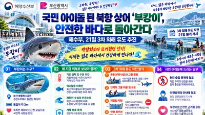 국민 아이돌 된 북항 상어 ‘부캉이’, 안전한 바다로 돌아간다… 해수부, 21일 3차 외해 유도 추진