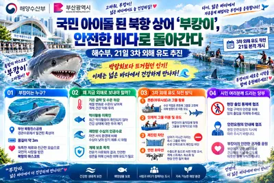 국민 아이돌 된 북항 상어 ‘부캉이’, 안전한 바다로 돌아간다… 해수부, 21일 3차 외해 유도 추진