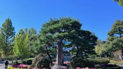 [경기도 물향기수목원] 국화 등 가을꽃 10종 전시… 11월 30일까지 운영