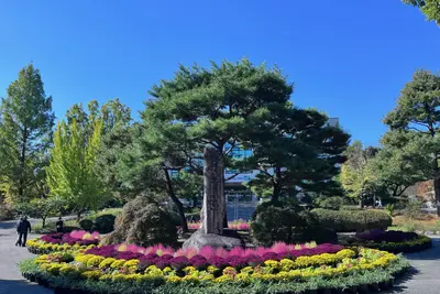 [경기도 물향기수목원] 국화 등 가을꽃 10종 전시… 11월 30일까지 운영