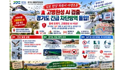김포 한강 하류서 야생조류 고병원성 AI 검출… 경기도 긴급 차단방역 돌입