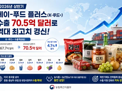 2026년 상반기 K-푸드+ 수출 70.5억 달러 달성… 역대 최고치 경신
