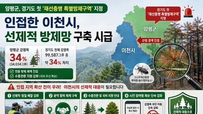 양평군, 감염목 3만4천 그루 '특별방제구역' 첫 지정… 인접 이천시 비상