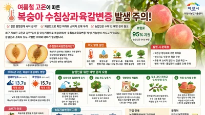 겉은 멀쩡한데 속은 갈색?… 35도 폭염에 '복숭아 갈변' 비상