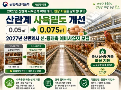 농식품부, 산란계 사육면적 확대 앞두고 규제 푼다… 8월 31일까지 지원 공모